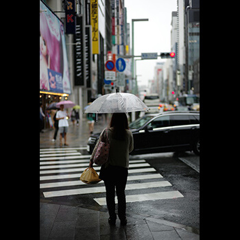 Zastawowanie kwiatów w projektowaniu wnętrz: Jak rośliny ożywiają przestrzeń i dodają jej charakteru